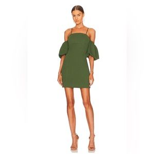 Gloriosa Dress in Green